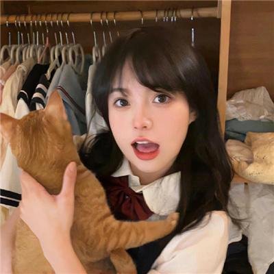 主妇之谜